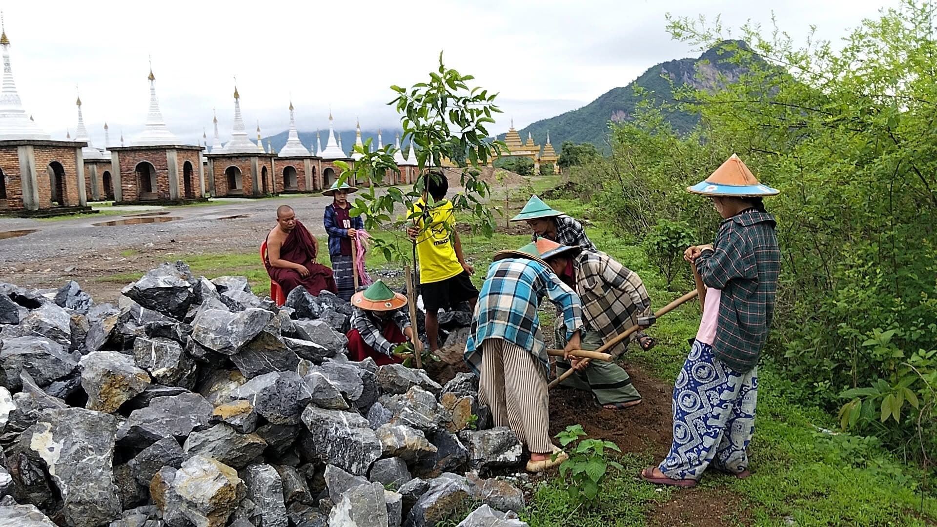 ကရင်ပြည်နယ်၊ လှိုင်းဘွဲမြို့နယ်ရှိ မြိုင်ကြီးငူရှုခင်းသာယာပန်းခြံ စိုက်ပျိုးရေး လုပ်ဆောင်နေသည့် မှတ်တမ်းပုံရိပ်များ။